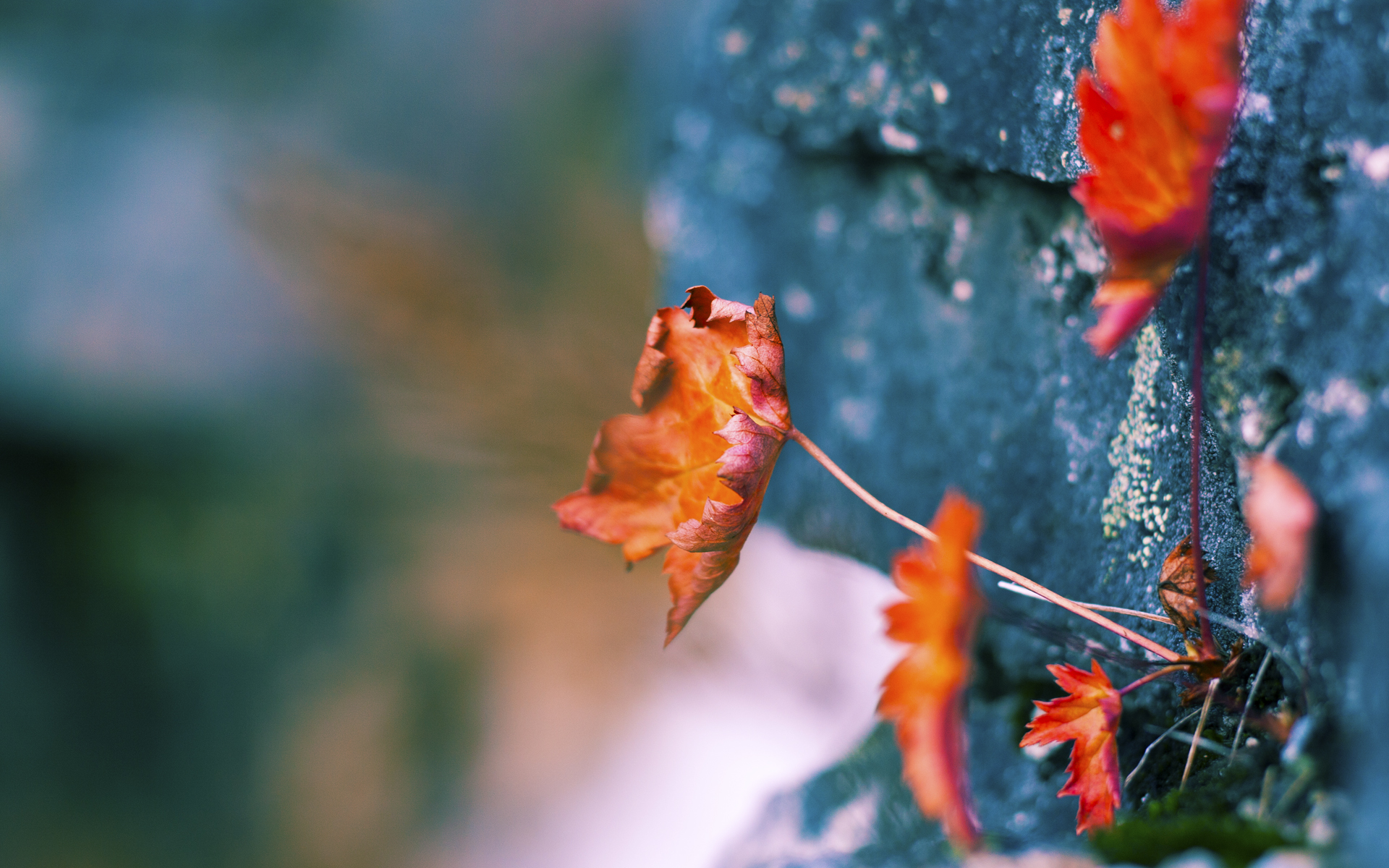 爱游戏大厅官网-Dota 2 赛事直播观看人数屡创新高，dota2比赛观看人数