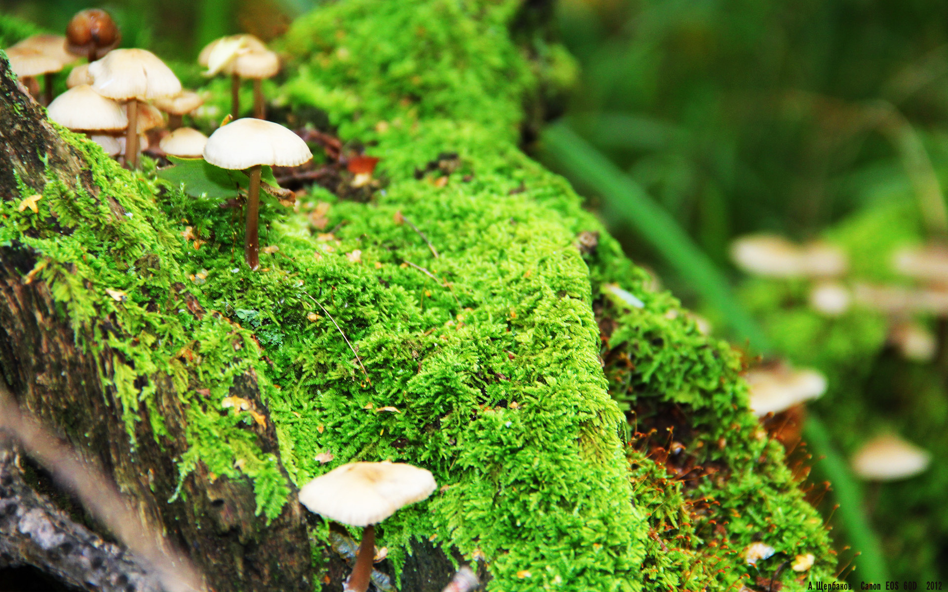 爱爱游戏-_掘金攻守兼备，迎来赛季关键阶段_，掘金打法