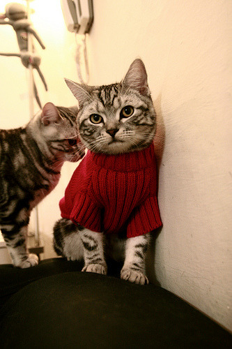 爱游戏资讯-国际极限跑酷公开赛，城市天际线上的极速挑战，城市天际线公路限速